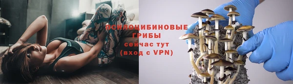 Альфа ПВП Липки