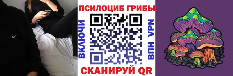 Псилоцибиновые грибы мицелий  дарнет шоп  Урус-Мартан 