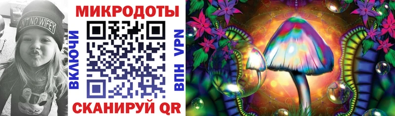 Галлюциногенные грибы Cubensis Урус-Мартан