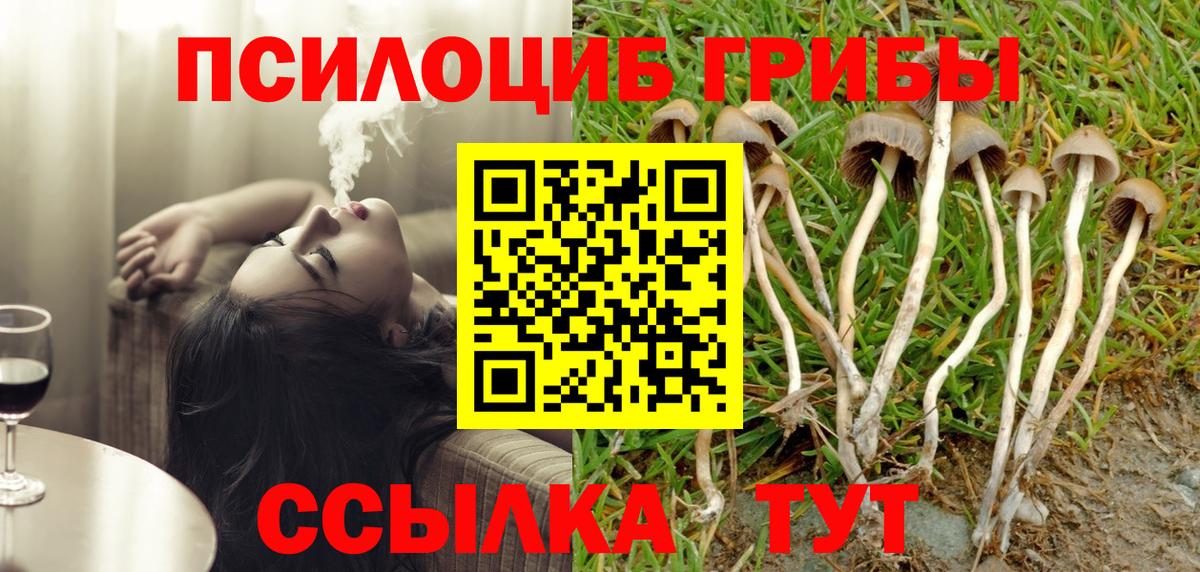 Псилоцибиновые грибы Cubensis  Псилоцибиновые грибы Magic Shrooms  Урус-Мартан 