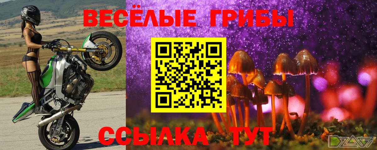 Галлюциногенные грибы GOLDEN TEACHER Урус-Мартан