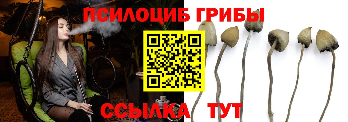 Урус-Мартан  Галлюциногенные грибы Magic Shrooms  Псилоцибиновые грибы мицелий  Вход с VPN 