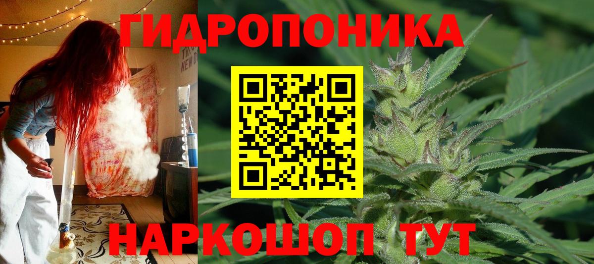 Урус-Мартан  Бошки марихуана индика  Канабис марихуана  Вход с VPN  Бошки марихуана конопля 